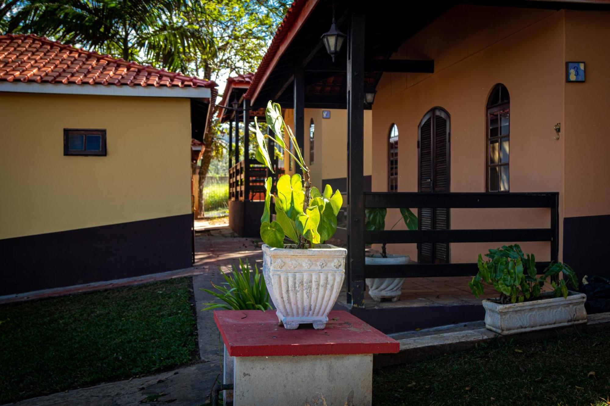 אנלנדיה Villa Donn'Anna מראה חיצוני תמונה
